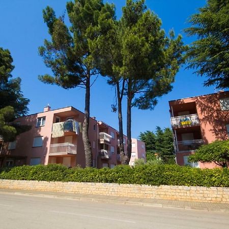 Roza Apartment Novigrad Istria Buitenkant foto